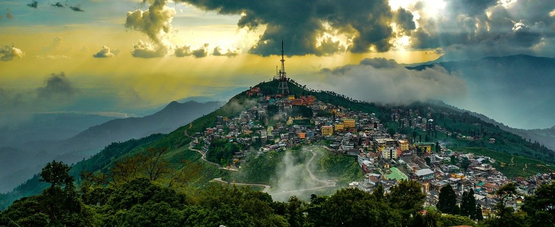Darjeeling tea gardens