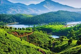 Tea country in South India