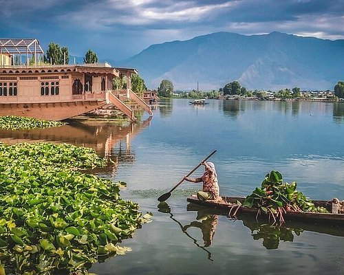 Srinagar Dal Lake
